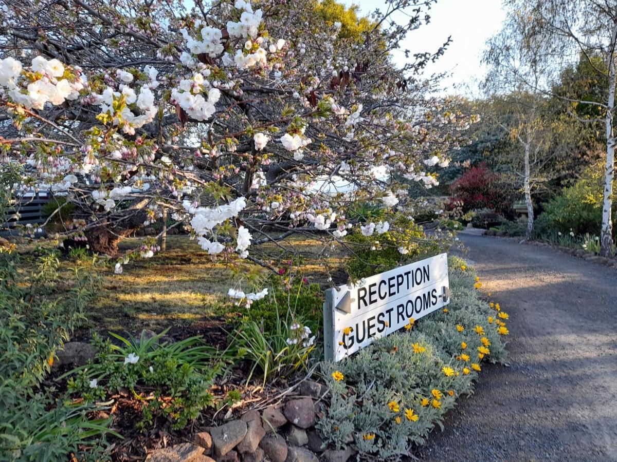 Hillside Bed And Breakfast Huonville Exterior photo