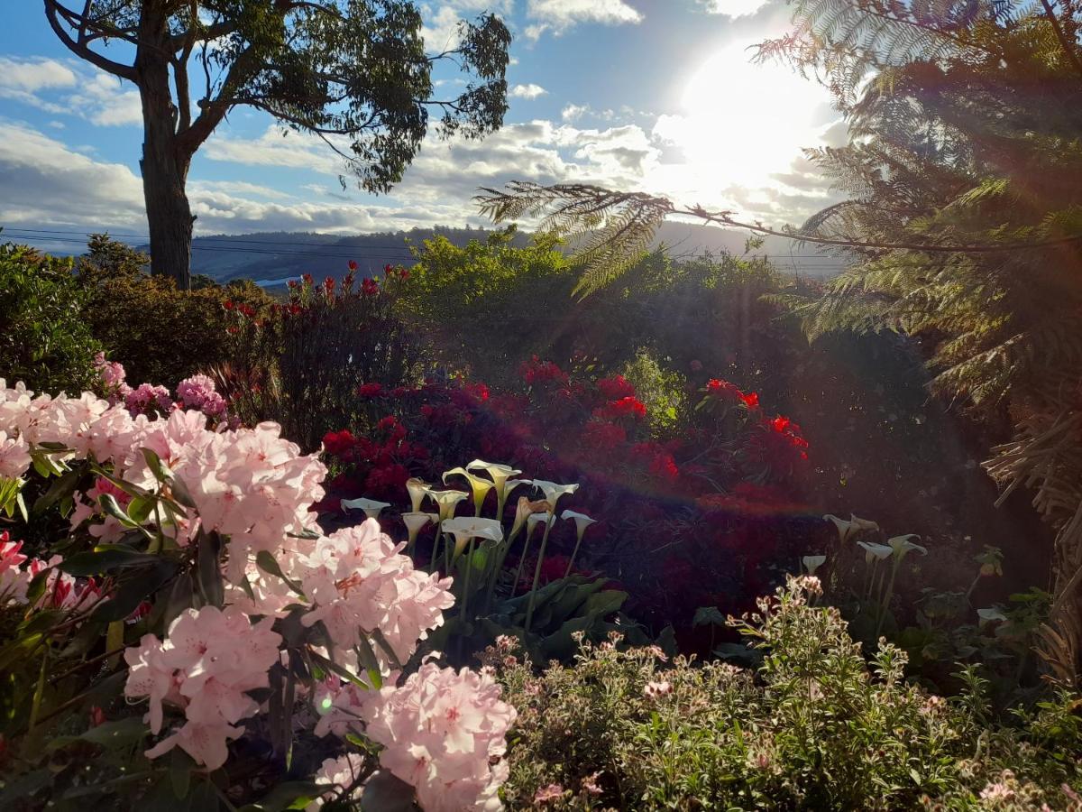 Hillside Bed And Breakfast Huonville Exterior photo