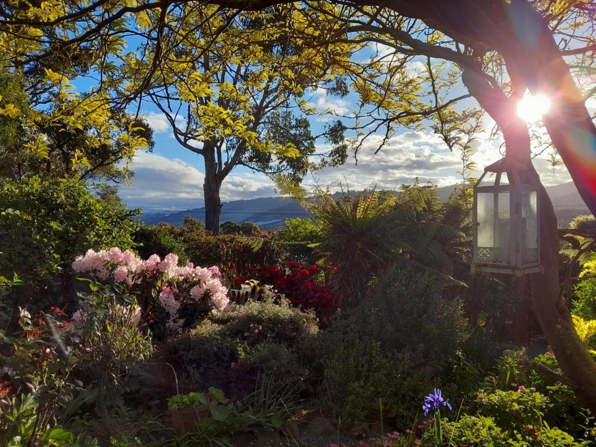 Hillside Bed And Breakfast Huonville Exterior photo