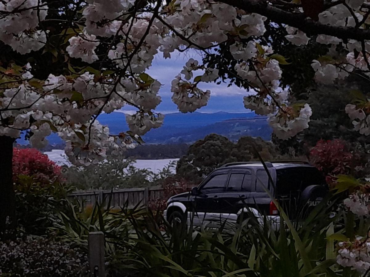 Hillside Bed And Breakfast Huonville Exterior photo