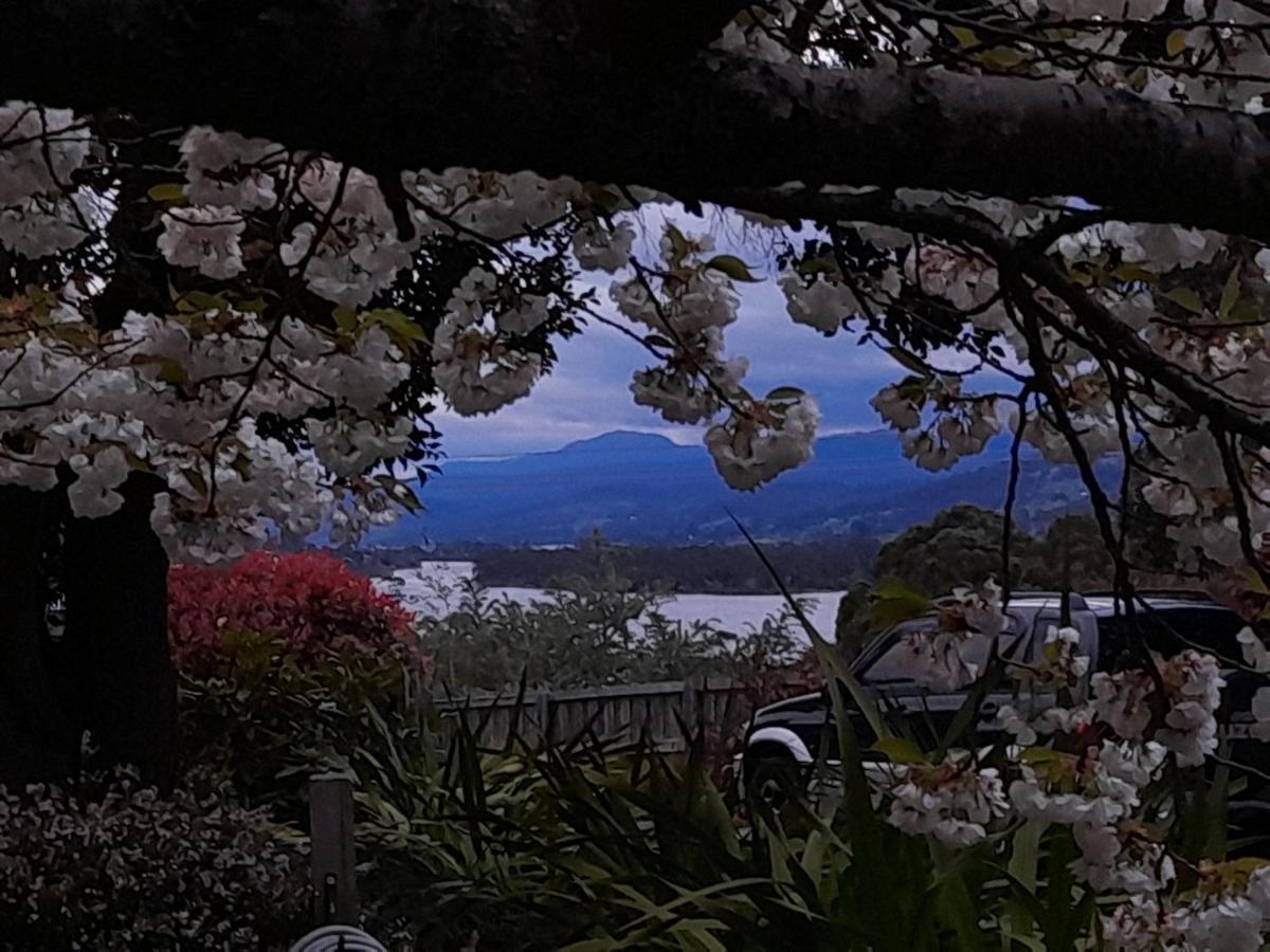 Hillside Bed And Breakfast Huonville Exterior photo