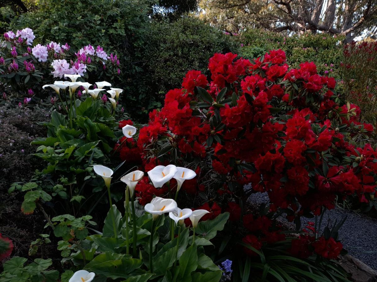 Hillside Bed And Breakfast Huonville Exterior photo
