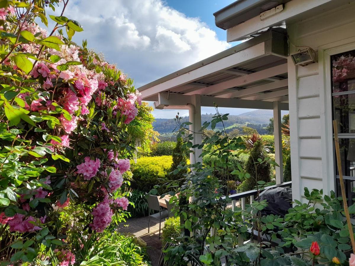 Hillside Bed And Breakfast Huonville Exterior photo