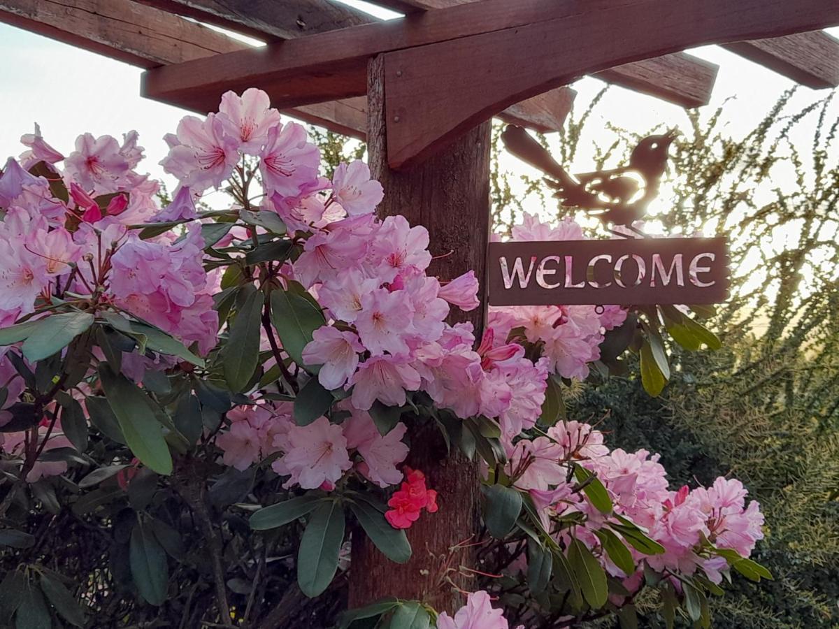 Hillside Bed And Breakfast Huonville Exterior photo