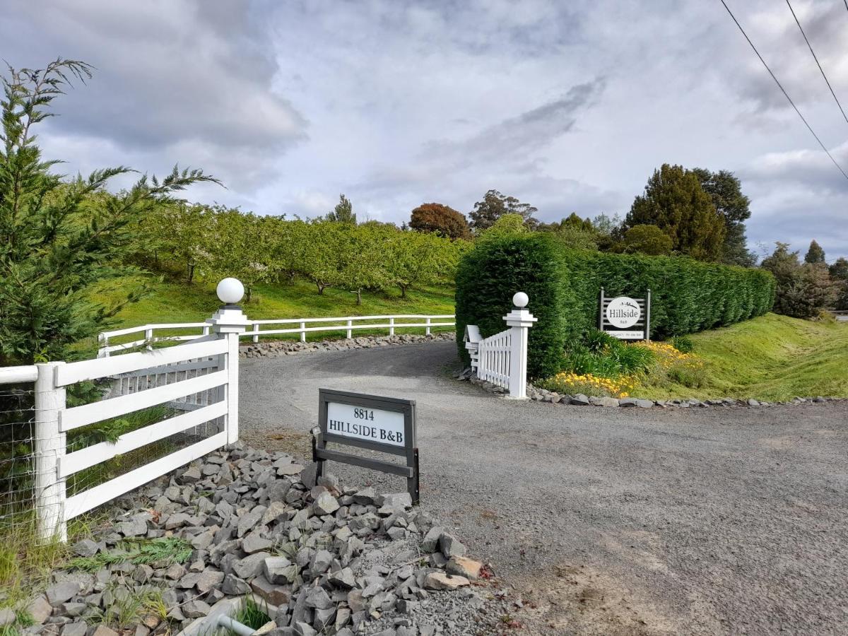 Hillside Bed And Breakfast Huonville Exterior photo