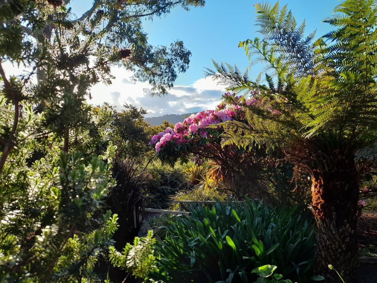 Hillside Bed And Breakfast Huonville Exterior photo