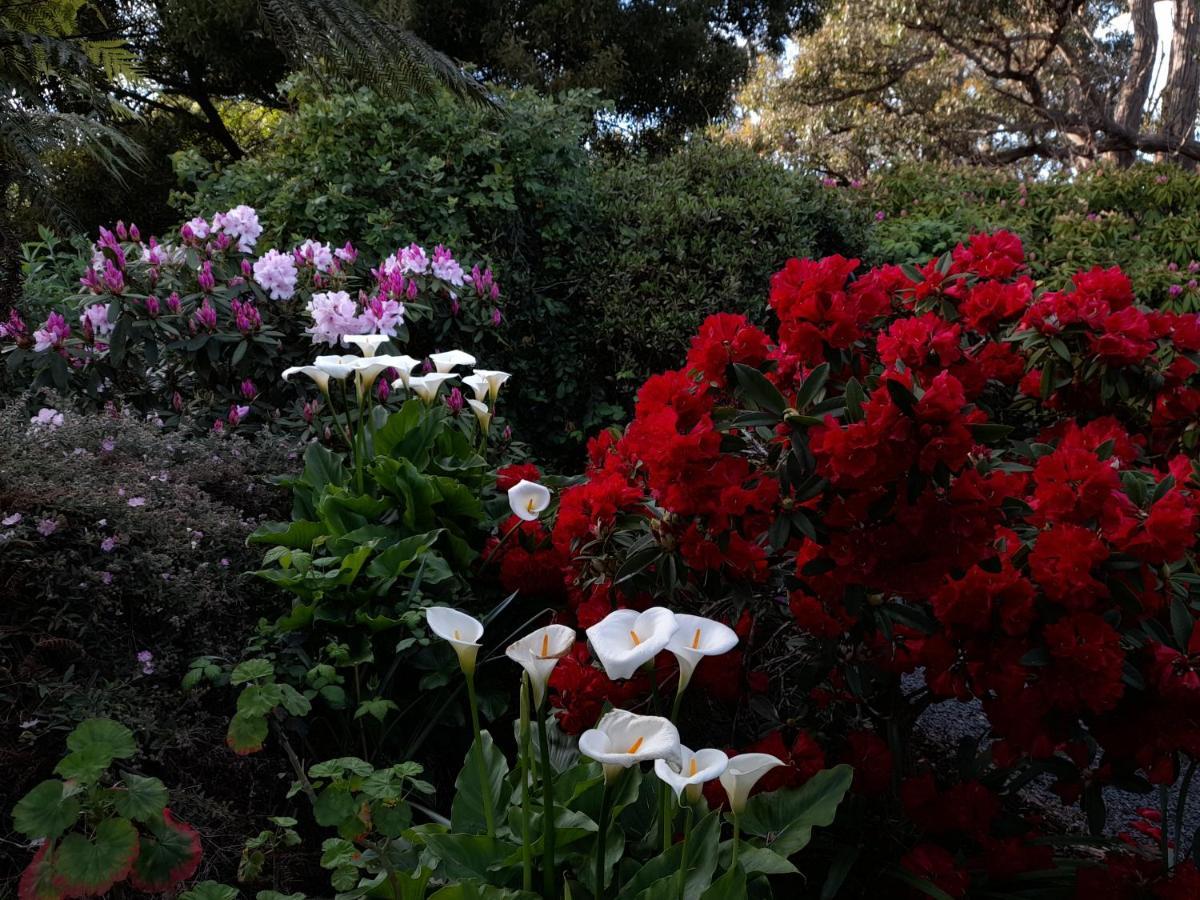 Hillside Bed And Breakfast Huonville Exterior photo