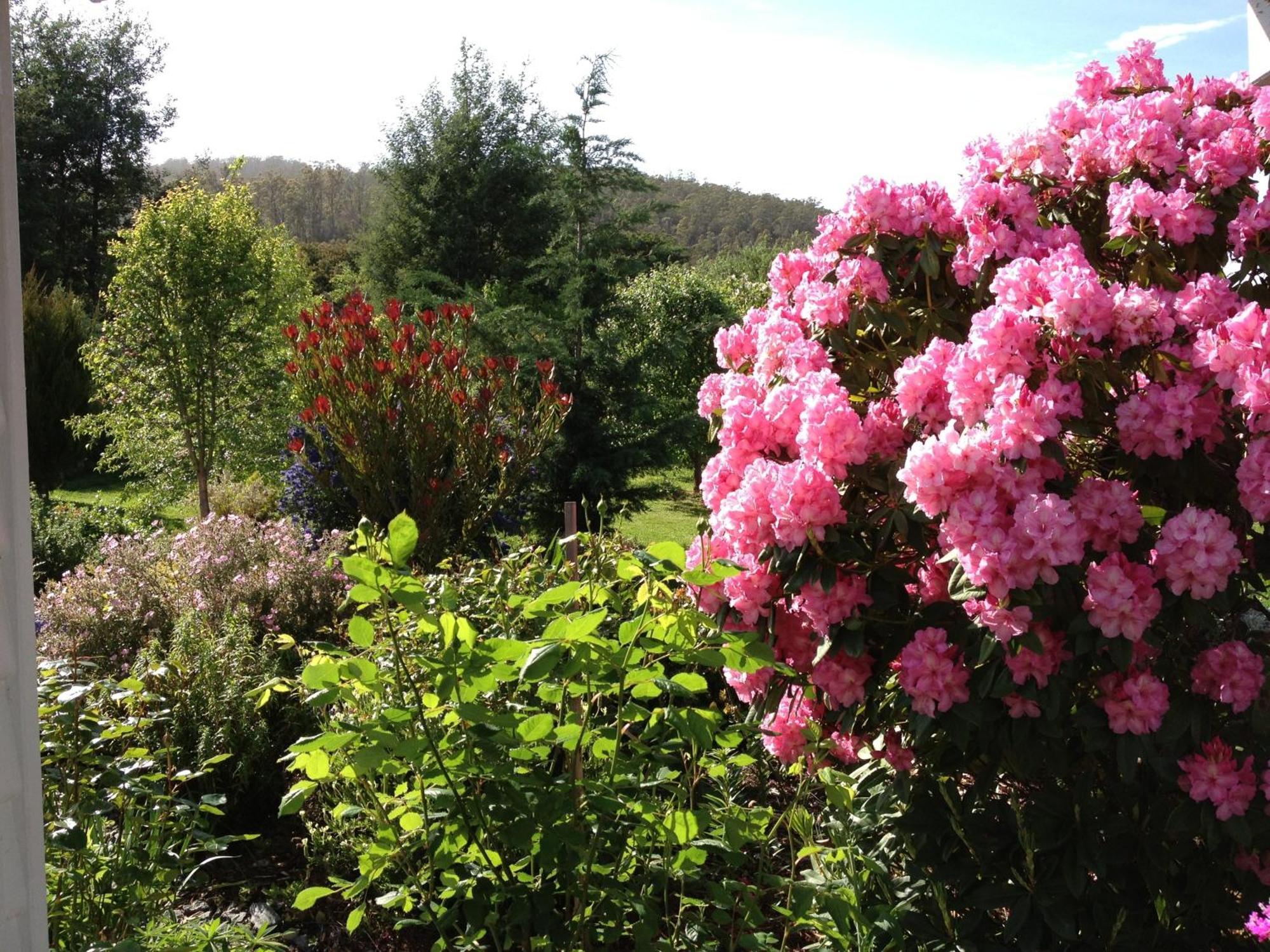 Hillside Bed And Breakfast Huonville Exterior photo
